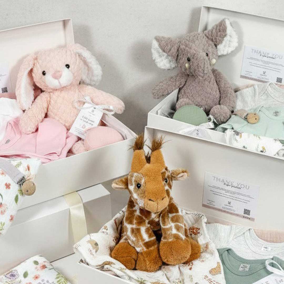 photo displaying contents of 3 baby boxes.